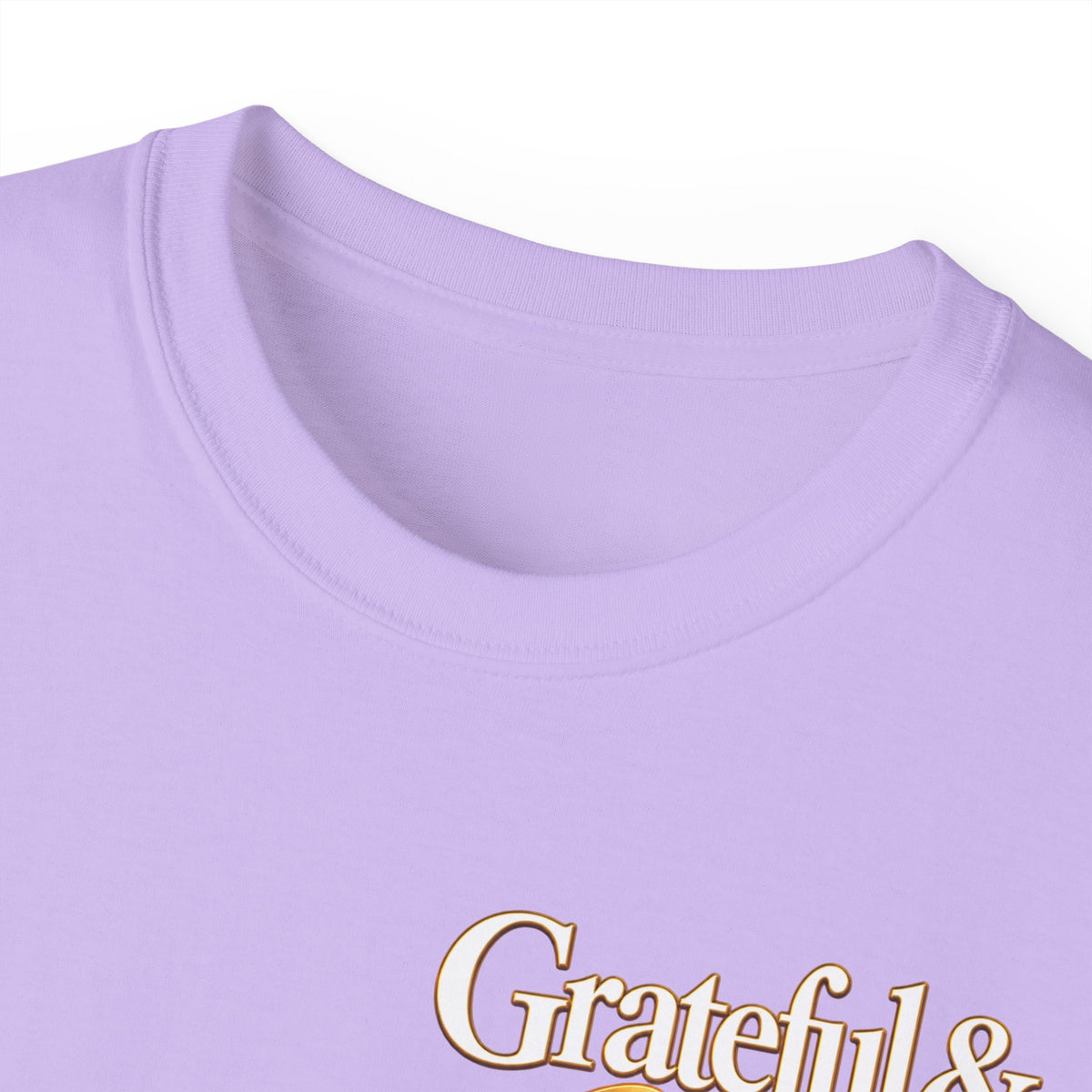 T-Shirt — Carefulist & Gifted Retro Script Graphic Tee