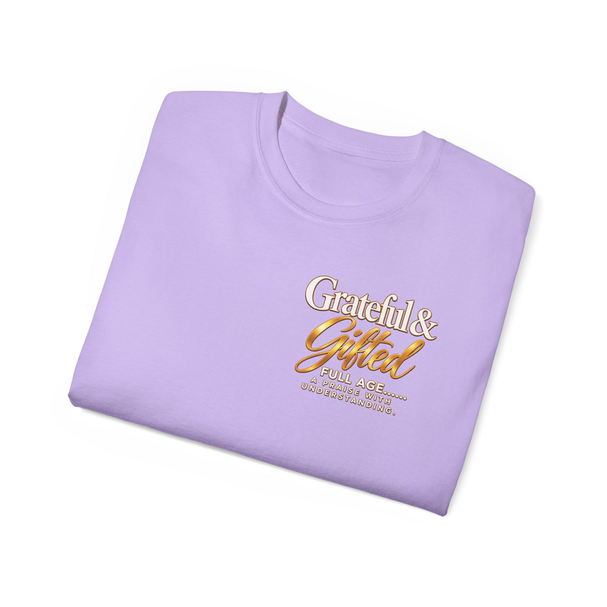 T-Shirt — Carefulist & Gifted Retro Script Graphic Tee