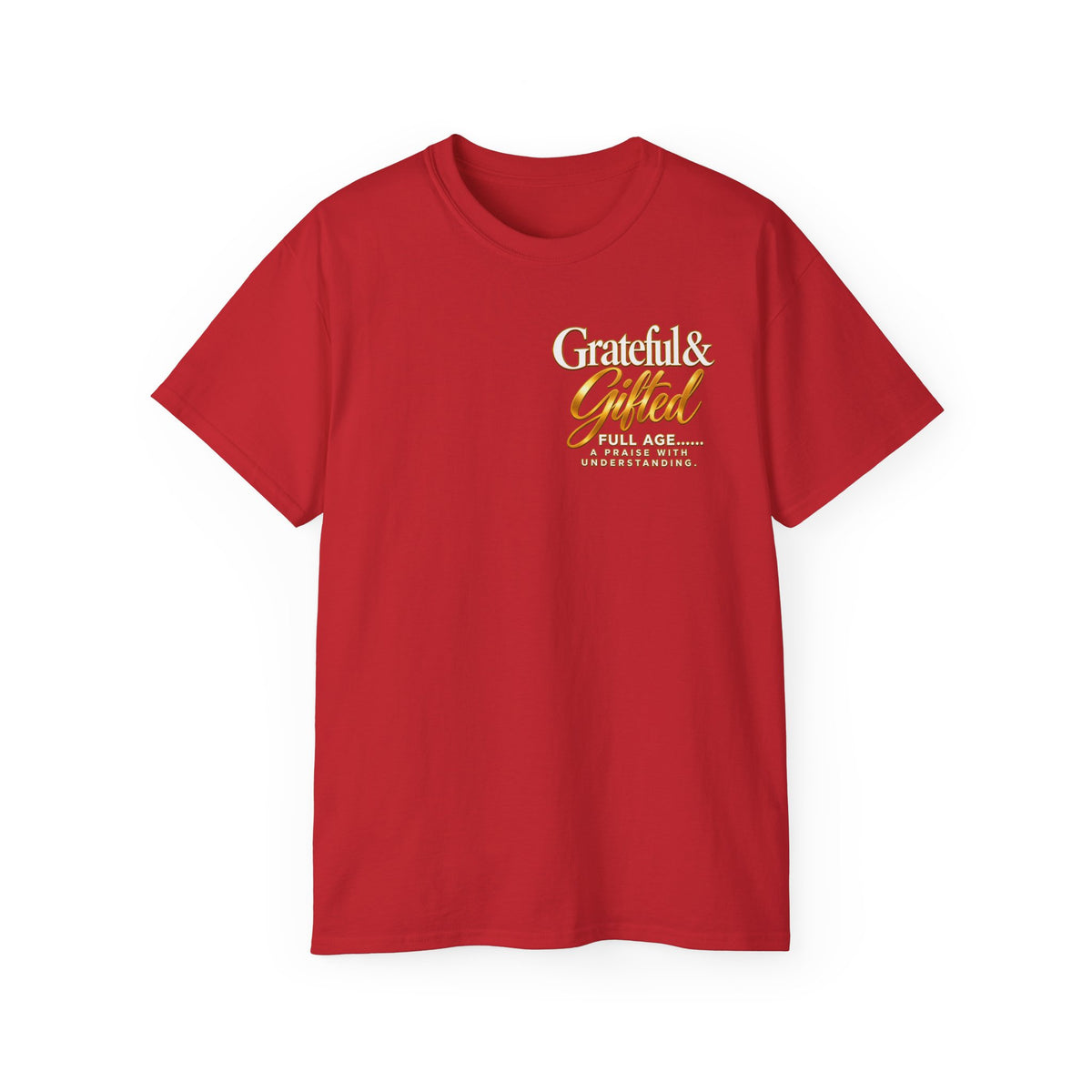 T-Shirt — Carefulist & Gifted Retro Script Graphic Tee