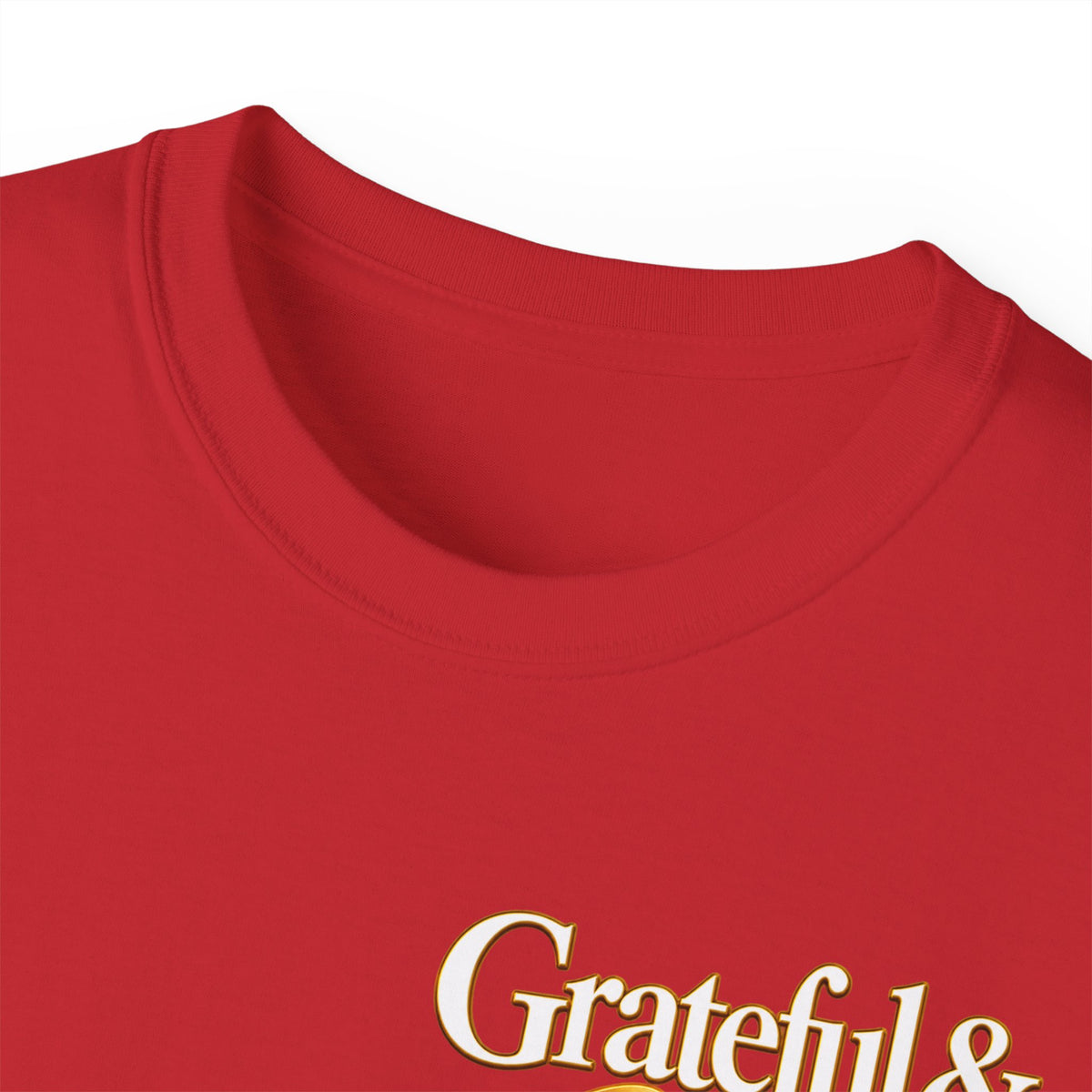 T-Shirt — Carefulist & Gifted Retro Script Graphic Tee