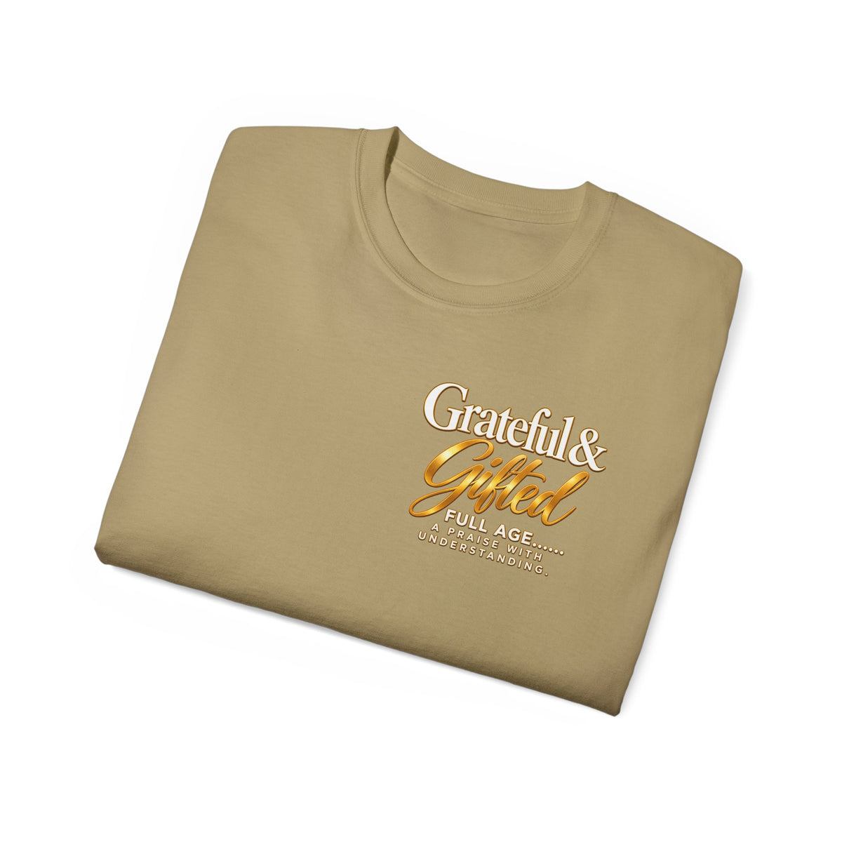 T-Shirt — Carefulist & Gifted Retro Script Graphic Tee
