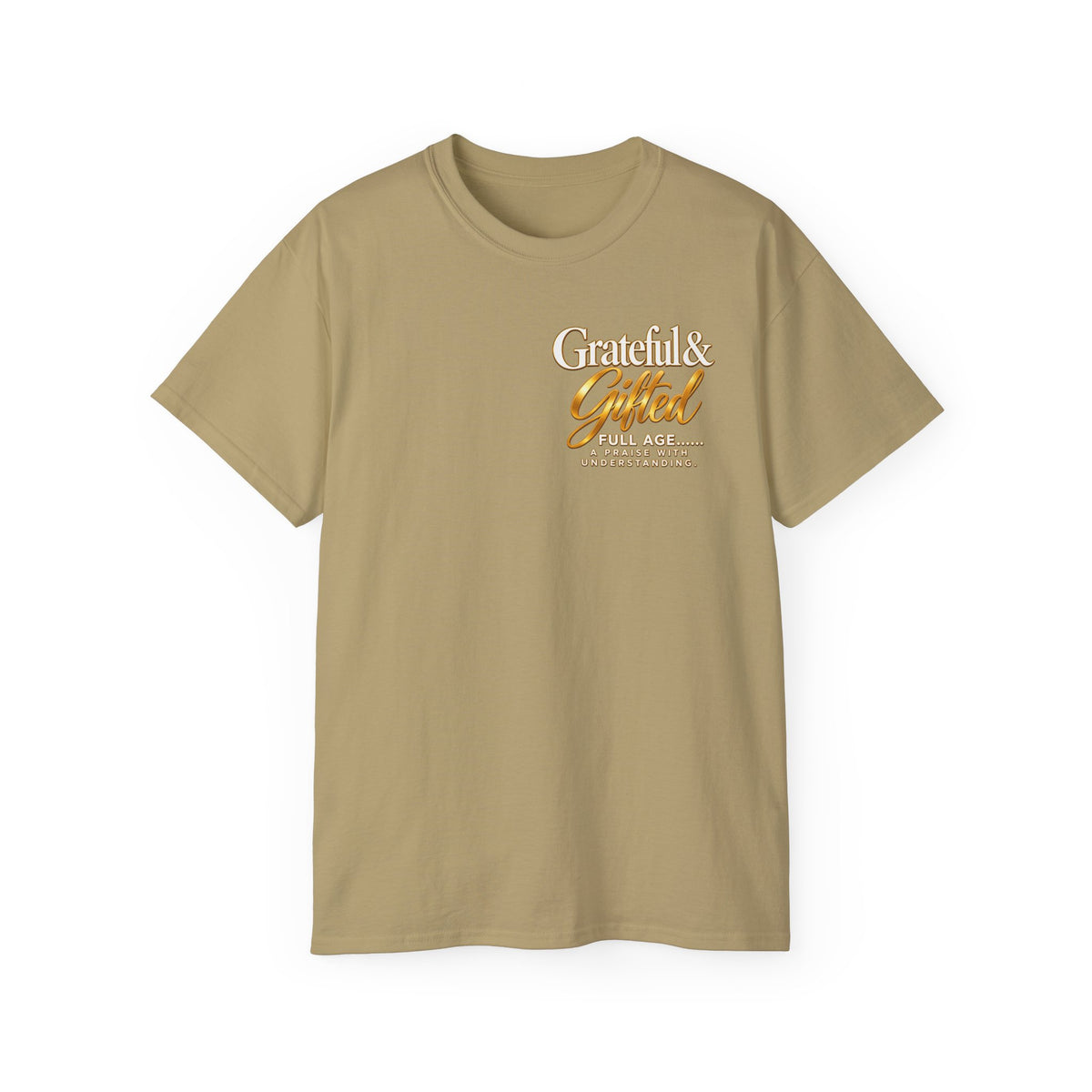 T-Shirt — Carefulist & Gifted Retro Script Graphic Tee