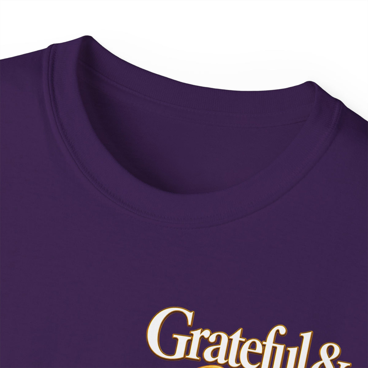 T-Shirt — Carefulist & Gifted Retro Script Graphic Tee