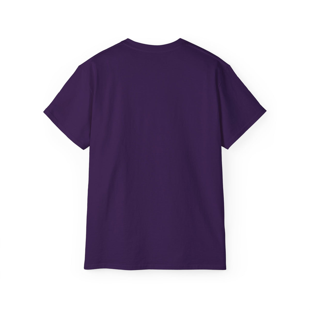T-Shirt — Carefulist & Gifted Retro Script Graphic Tee