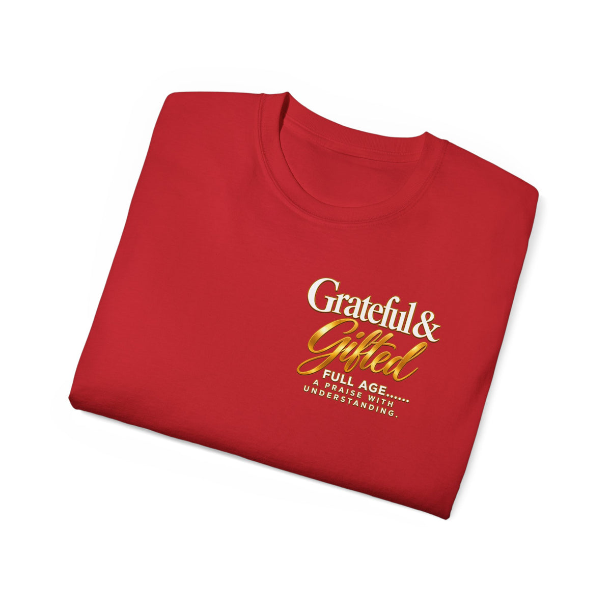 T-Shirt — Carefulist & Gifted Retro Script Graphic Tee