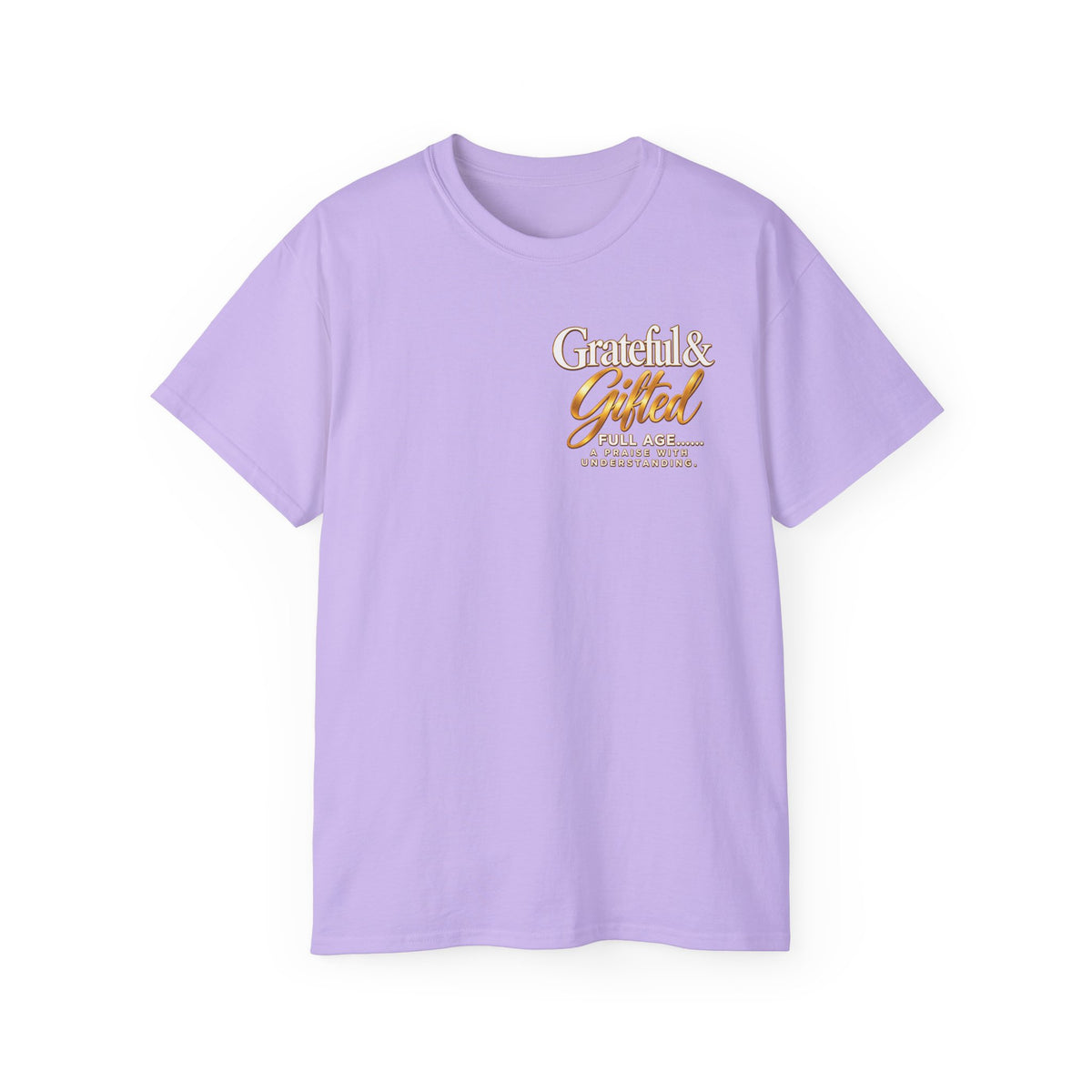 T-Shirt — Carefulist & Gifted Retro Script Graphic Tee