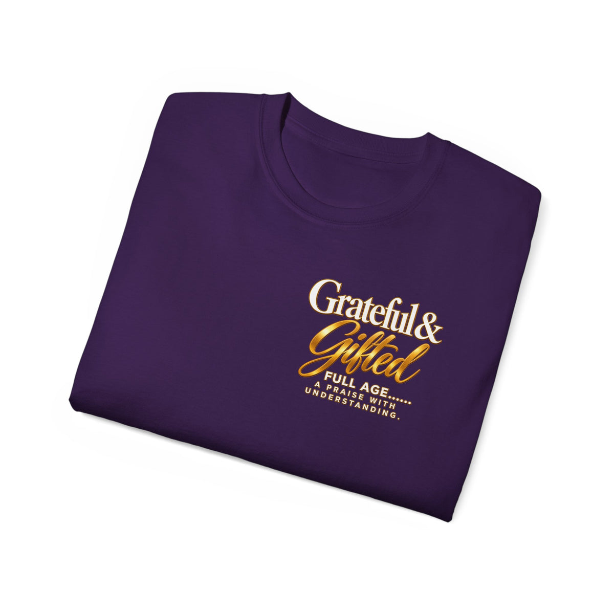 T-Shirt — Carefulist & Gifted Retro Script Graphic Tee