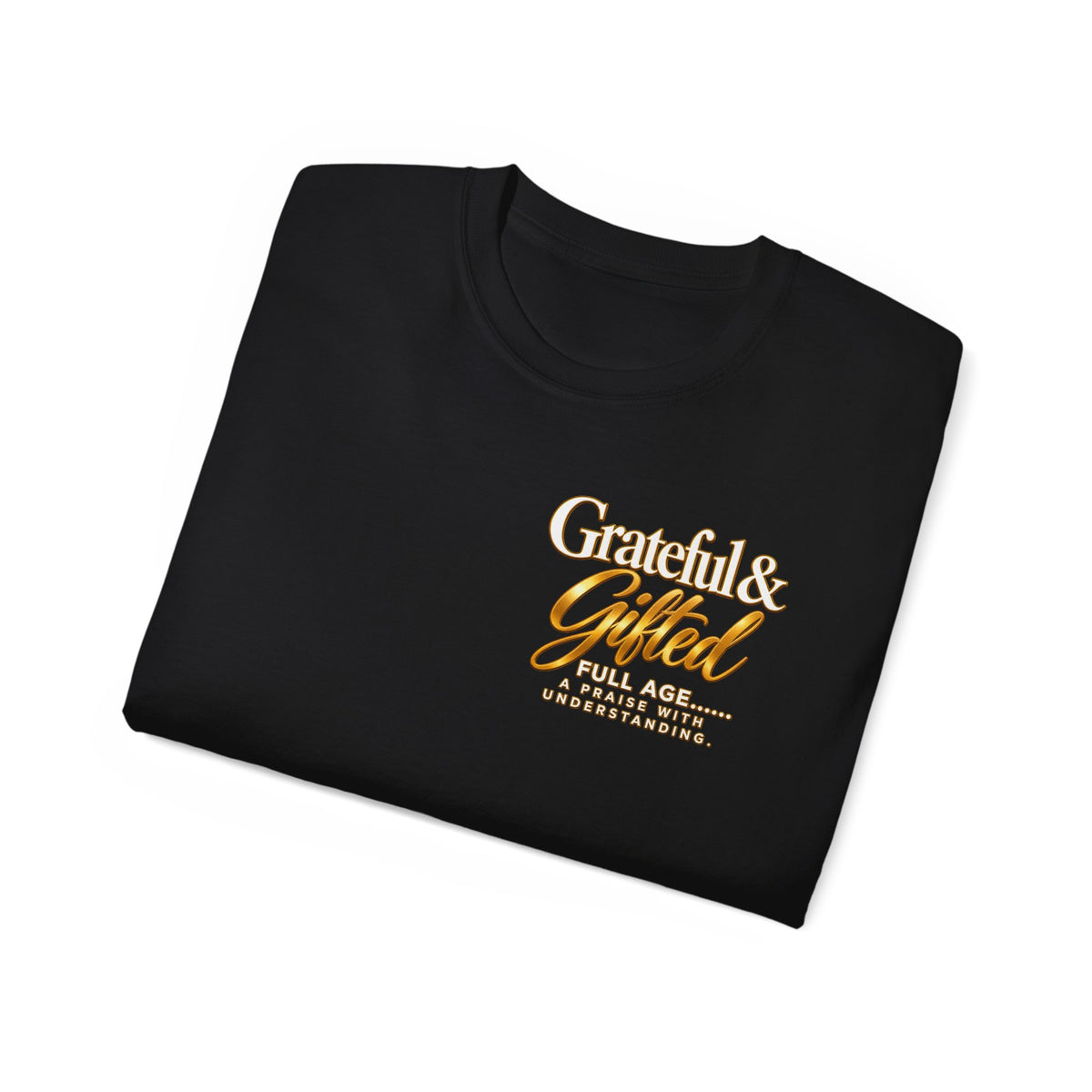 T-Shirt — Carefulist & Gifted Retro Script Graphic Tee