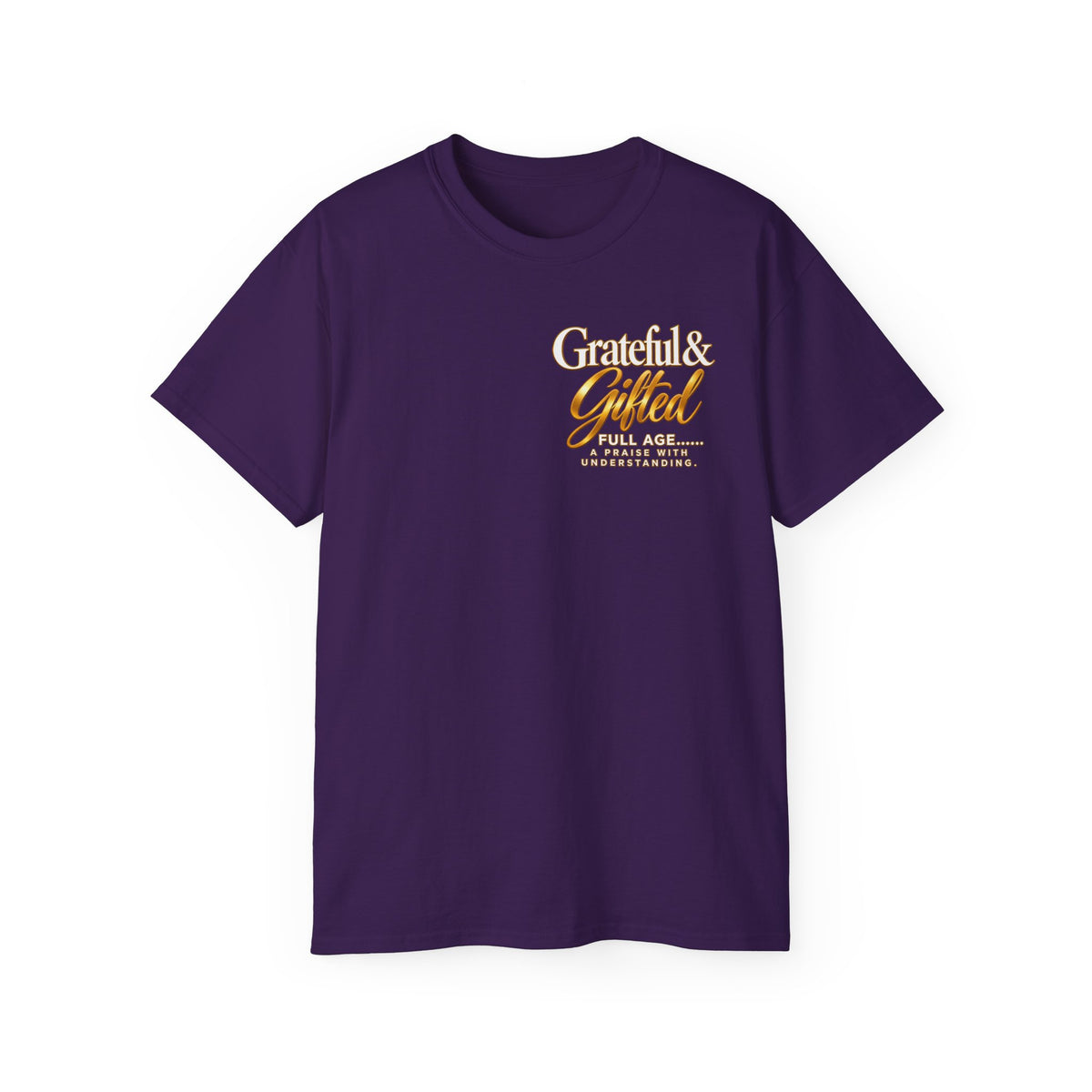 T-Shirt — Carefulist & Gifted Retro Script Graphic Tee