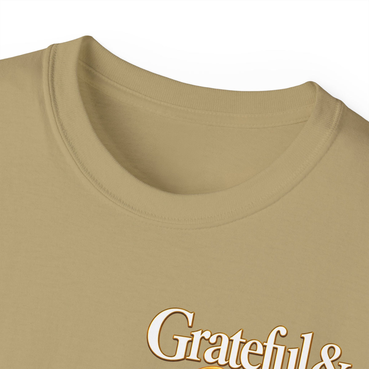 T-Shirt — Carefulist & Gifted Retro Script Graphic Tee